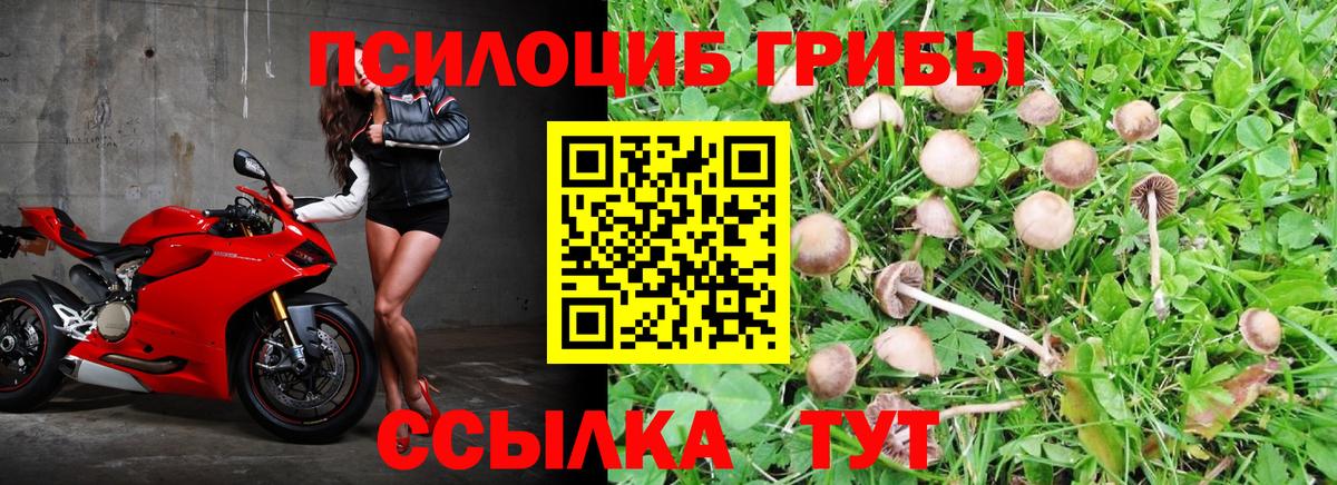 Галлюциногенные грибы ЛСД  Вход с VPN  Кулебаки 